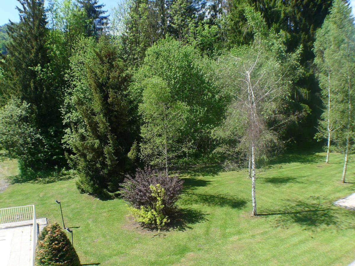 Studio Mansarde Avec Balcon, Piscine Et Parking Souterrain A Samoens - Fr-1-629-92 מראה חיצוני תמונה
